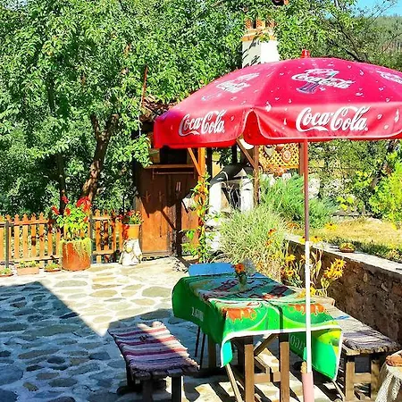 Mechta 2* コプリフシティツァ