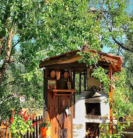 Mechta ゲストハウス