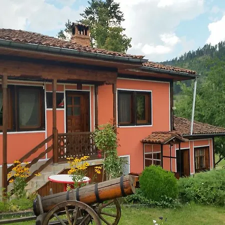 Mechta ゲストハウス 2*