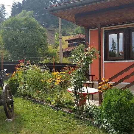 ゲストハウス Mechta