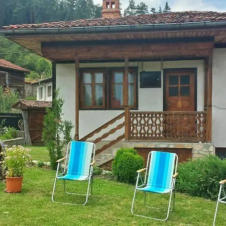 Mechta 게스트하우스