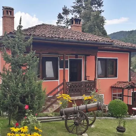 게스트하우스 Mechta 코프리브시티차