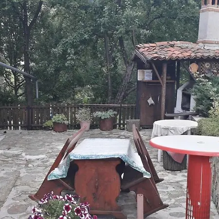 Mechta 게스트하우스 코프리브시티차