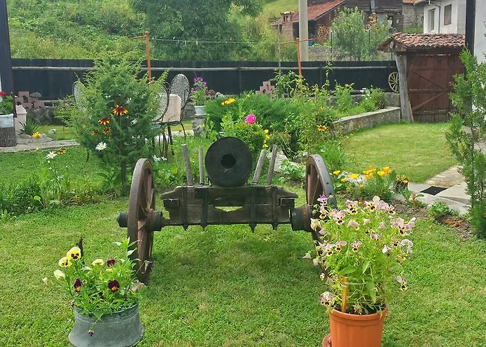 Mechta 2* Koprivsjtitsa