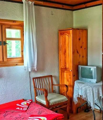 Pensionat Mechta Koprivsjtitsa